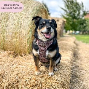 Tough Trails™ Harness -  Cowboy