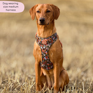 Tough Trails™ Harness - Rust & Bloom