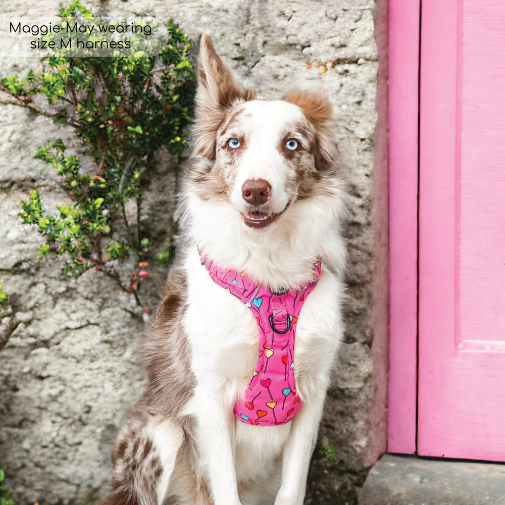 Tough Trails™ Harness - Candypop