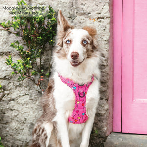 Tough Trails™ Harness - Candypop