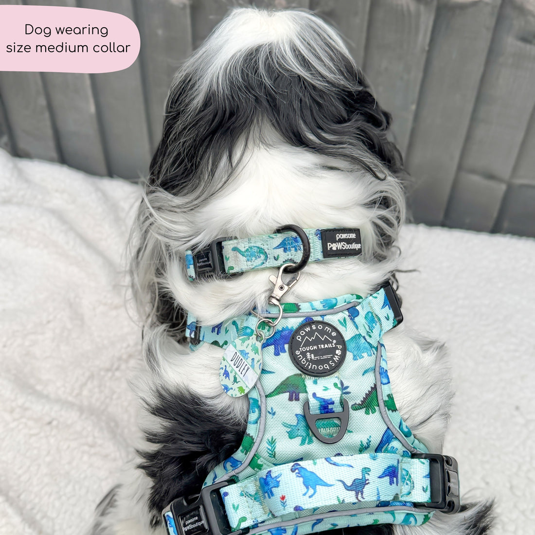 Collar - Dinky Dino