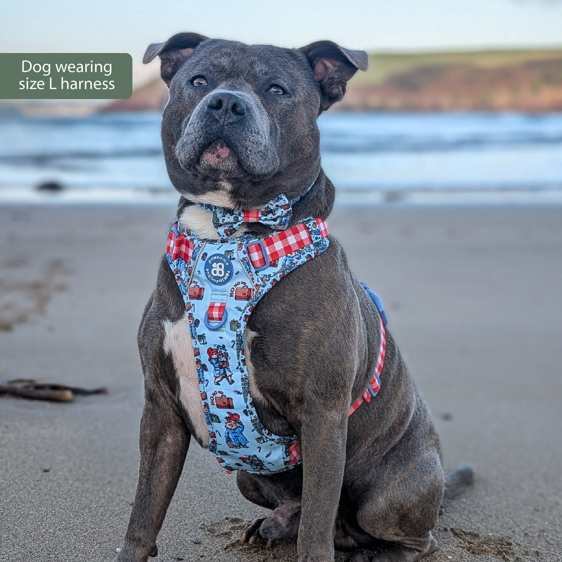 Paddington™ Tough Trails™ Harness - Christmas