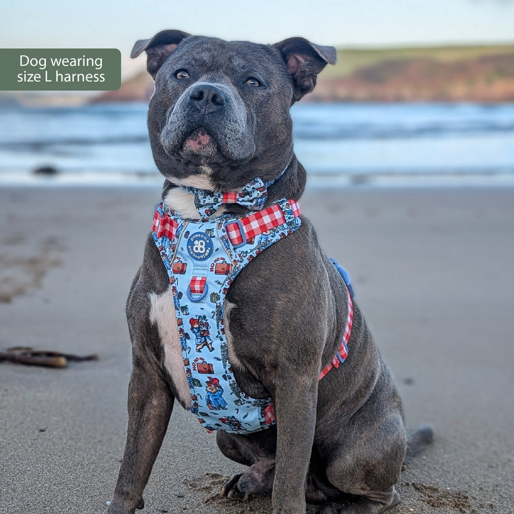 Paddington™ Tough Trails™ Harness - Christmas