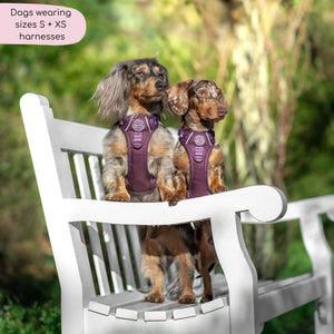 Tough Trails™ Harness - Walkies Ready® Plum