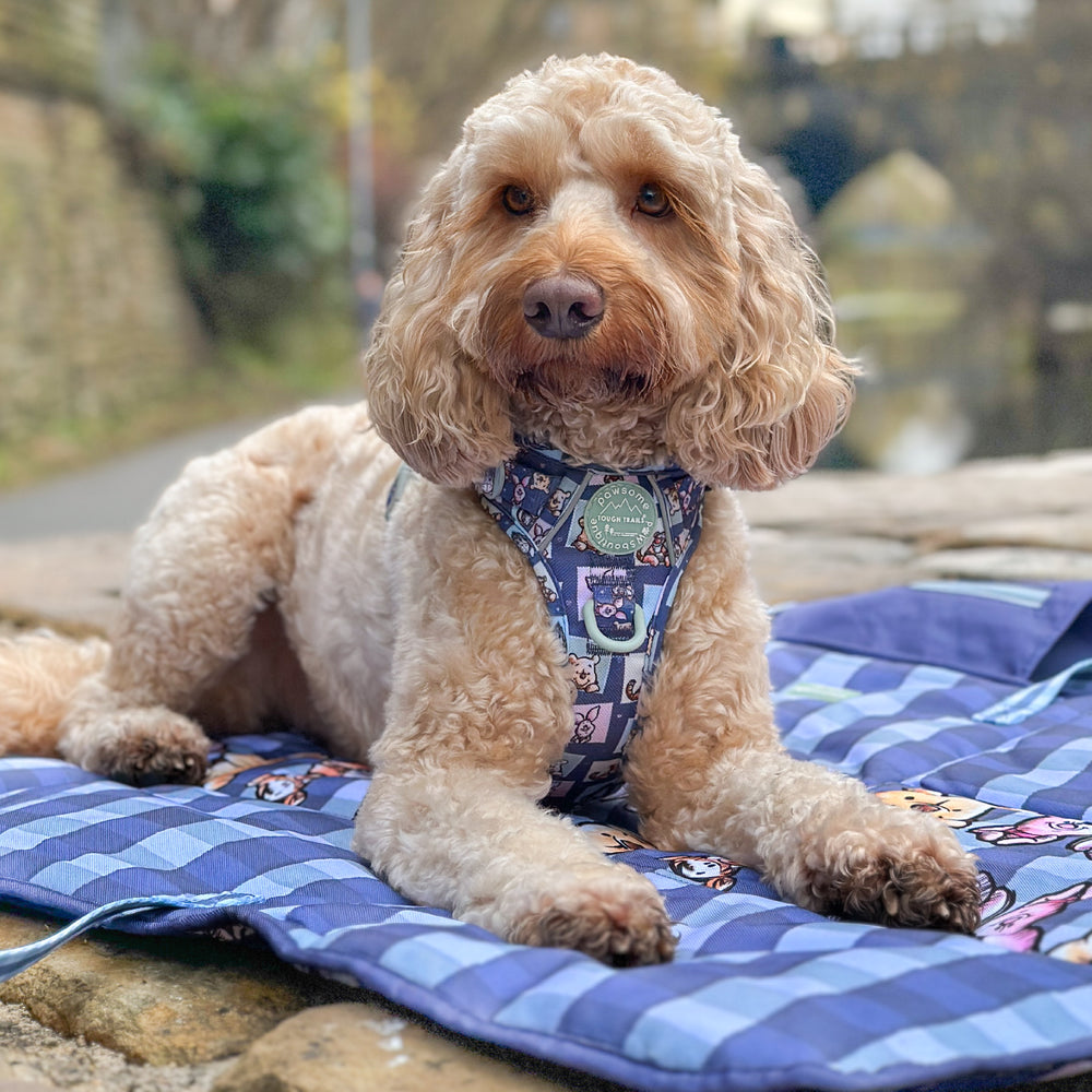 Disney© Travel Mat - Winnie + Friends