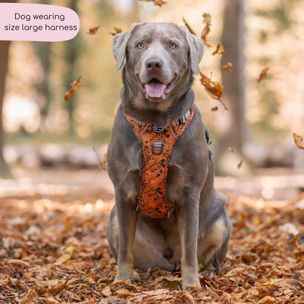 Disney© Tough Trails™ Harness - Halloween