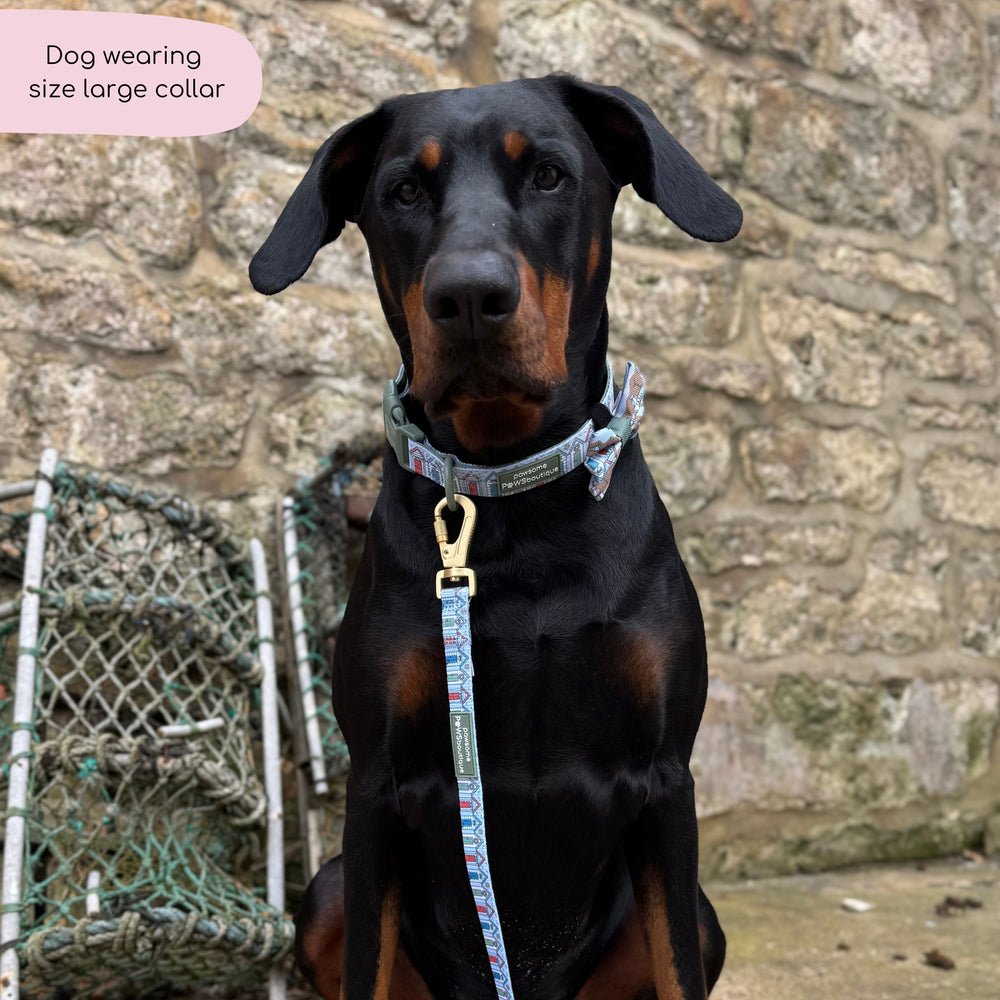 Collar - Sandy Shores