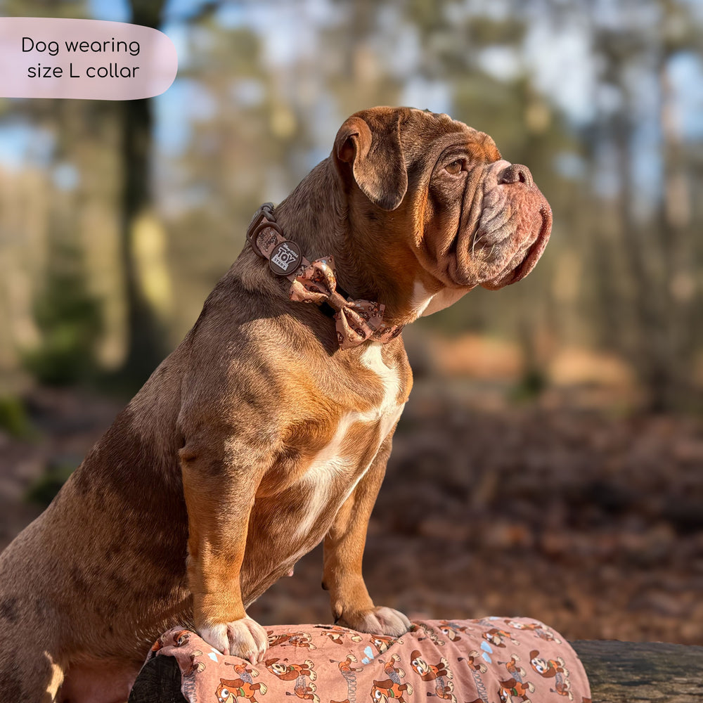 Disney© Collar - Slinky