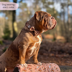 Disney© Collar - Slinky