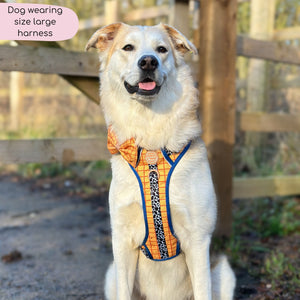 Disney© Tough Trails™ Harness - Woody