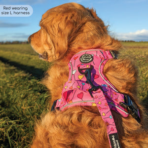 Tough Trails™ Harness - Candypop