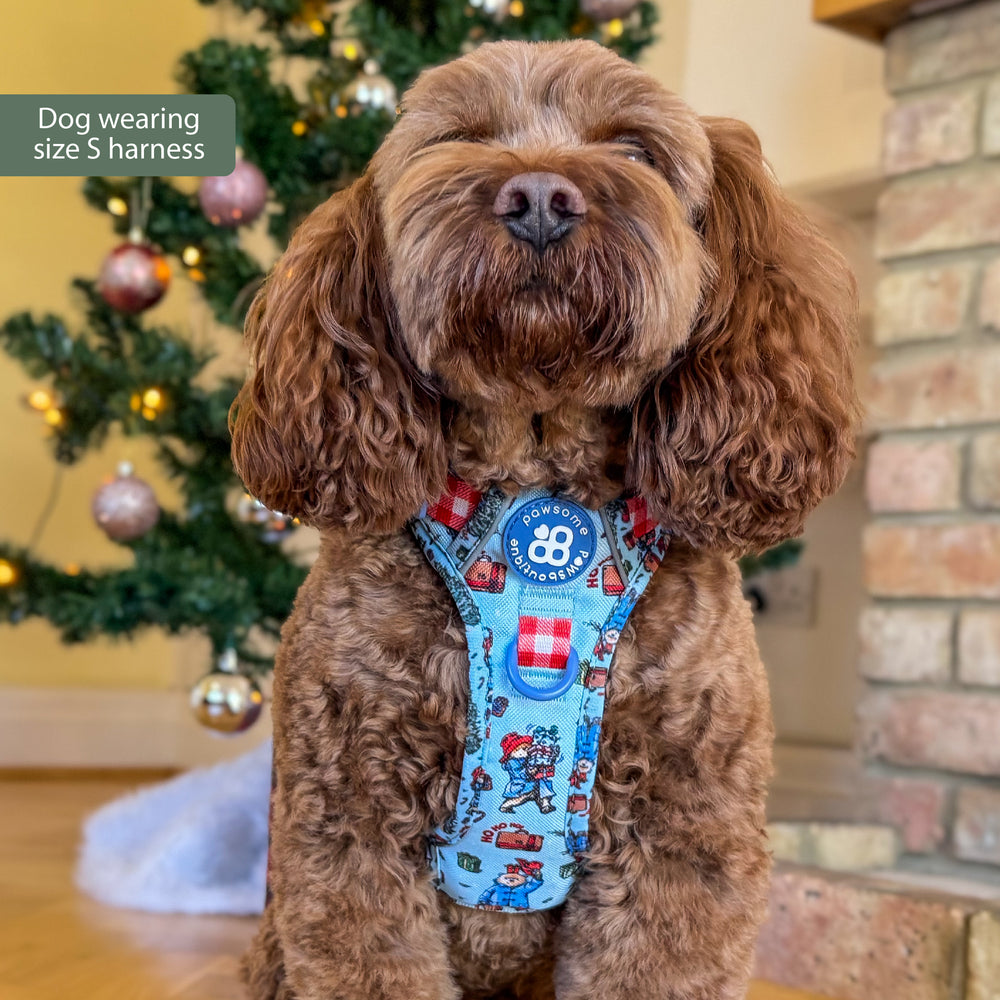 Paddington™ Tough Trails™ Harness - Christmas
