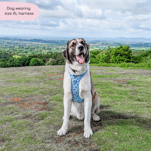 Tough Trails™ Harness - Reuben's Roadtrip