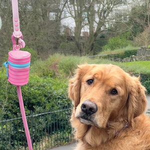 Disney© Treat Pouch - Piglet