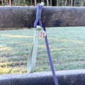 Disney© 4ft Rope Lead - Winnie + Friends - Sage and Blue