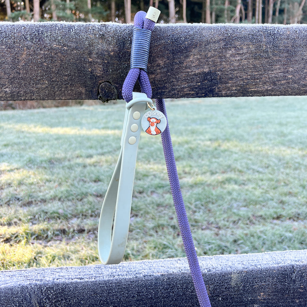 Disney© 4ft Rope Lead - Winnie + Friends - Sage and Blue