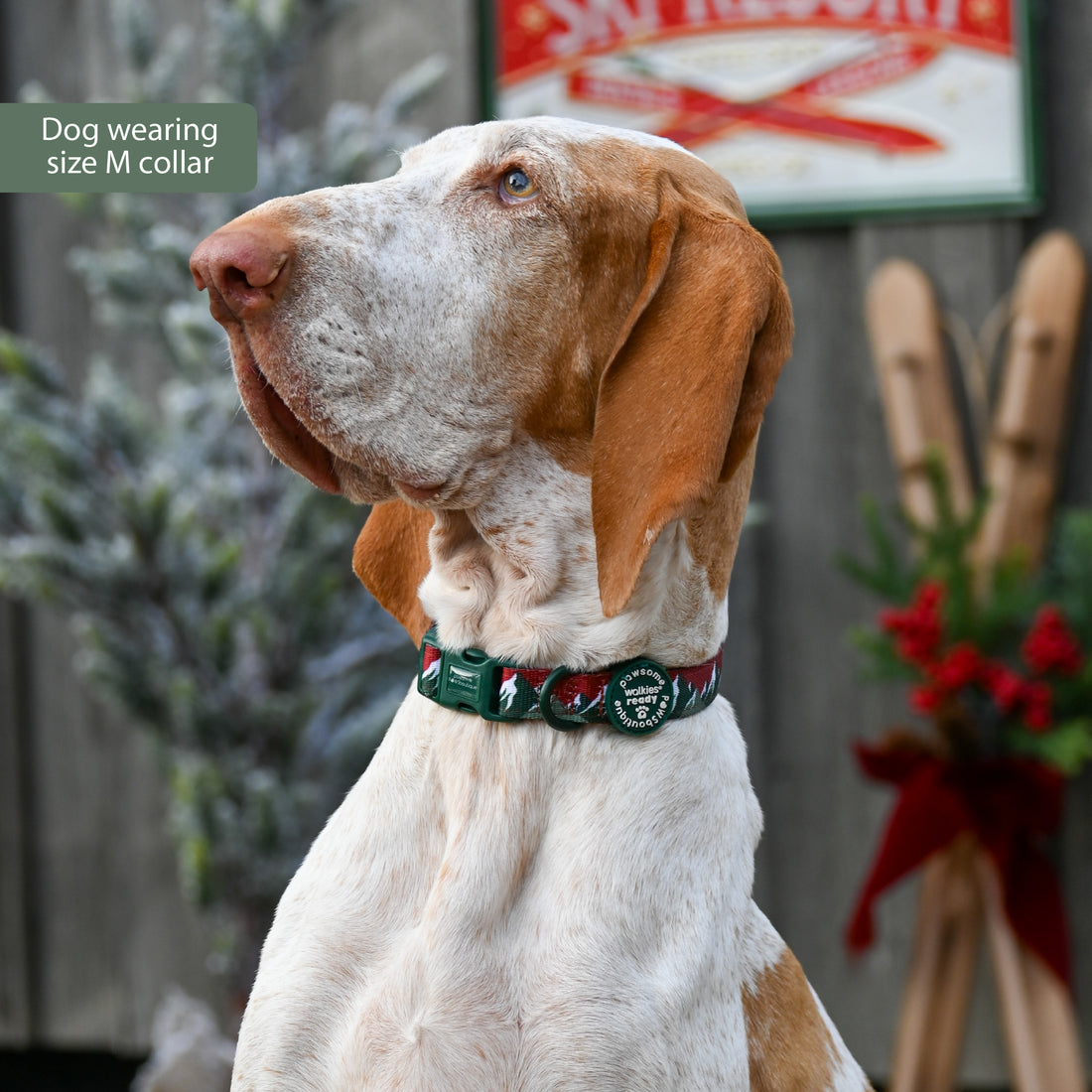 Walkies Ready® Snowy Mountains Ultimate Bundle