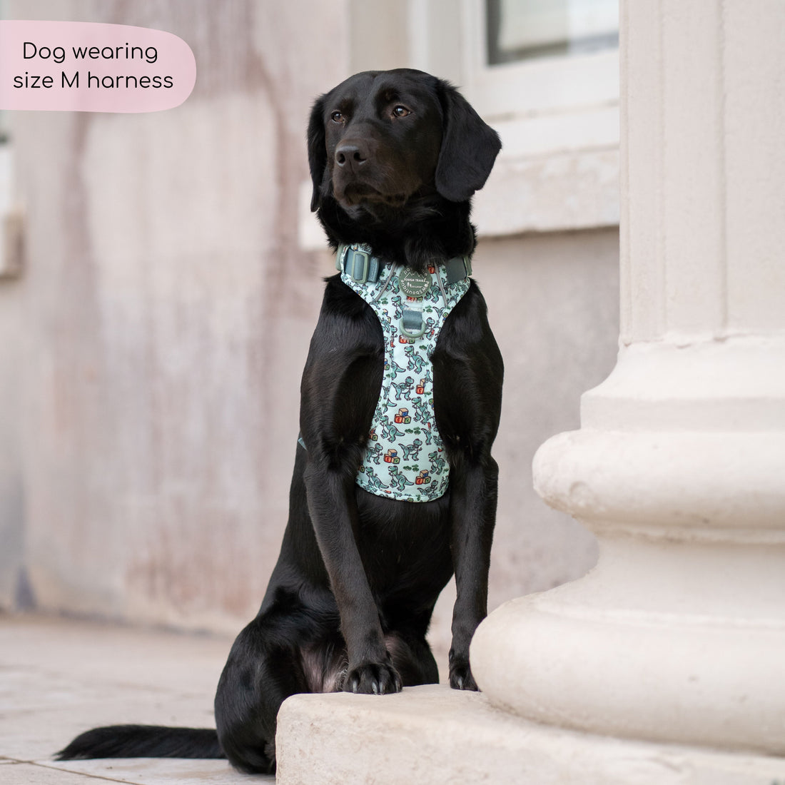 Disney© Tough Trails™ Harness - Rex