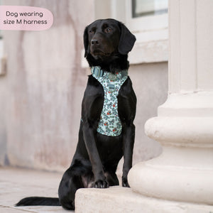 Disney© Tough Trails™ Harness - Rex