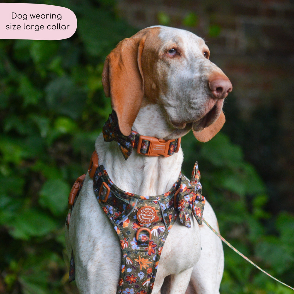 Collar - Rust & Bloom