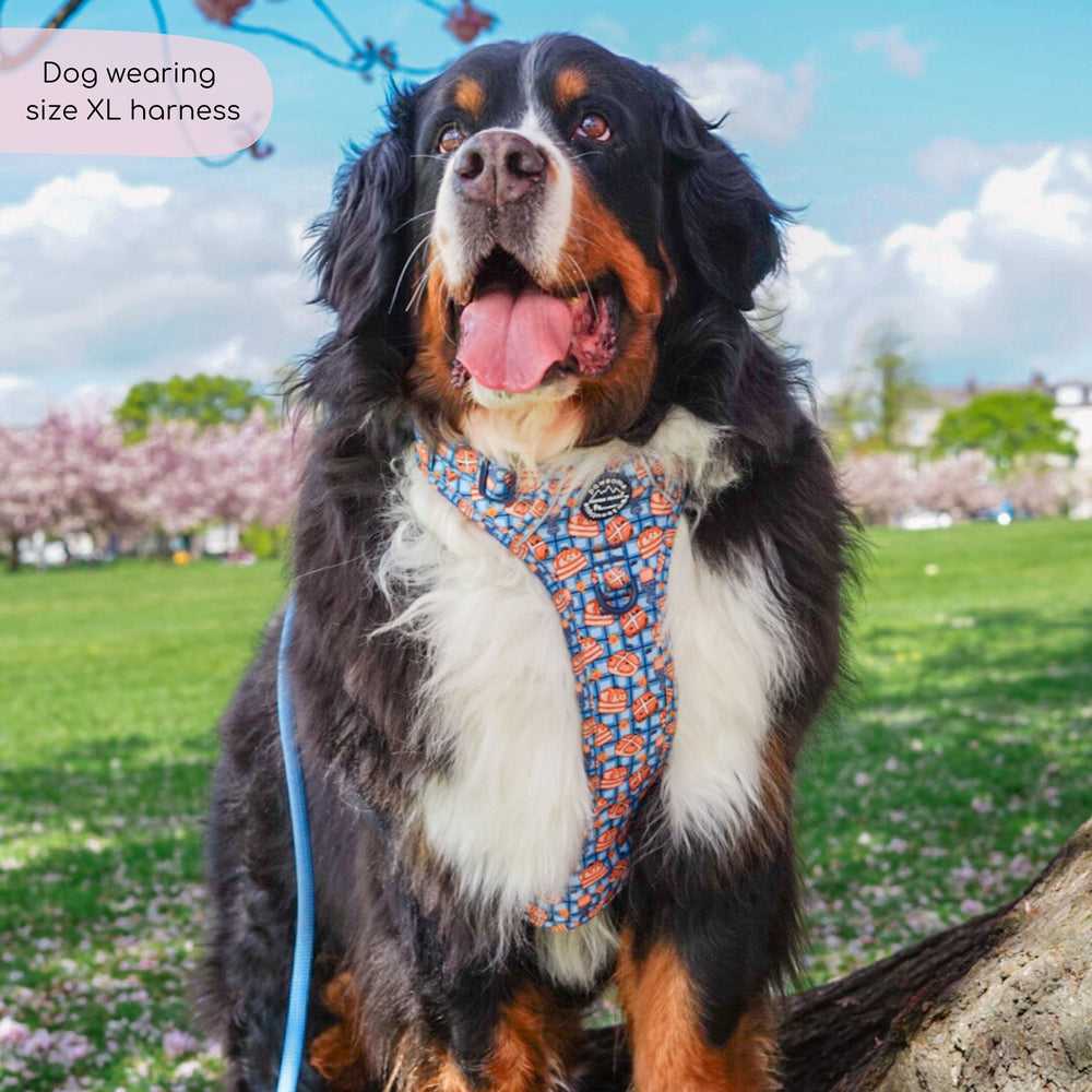 Tough Trails™ Harness -  Rise & Shine