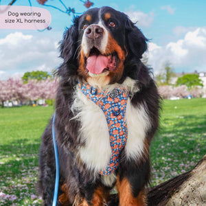Tough Trails™ Harness -  Rise & Shine