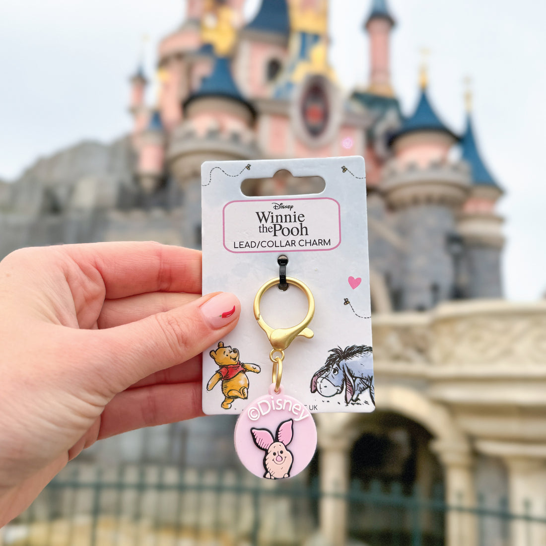 Disney© Collar/Lead Charm - Piglet