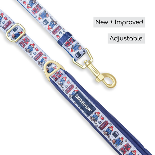 Paddington™ AdjustFit Lead - London