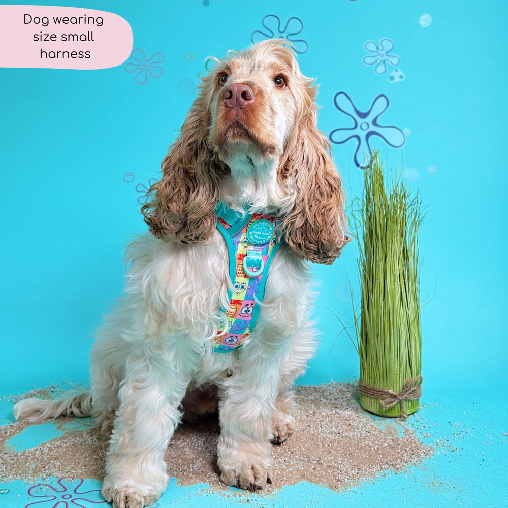 Tough Trails™ Harness - Spongebob