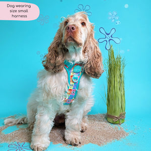 Tough Trails™ Harness - Spongebob
