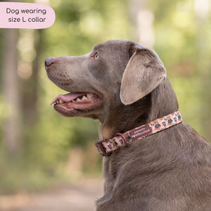 Collar - Snuggle Season