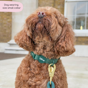 Disney© Waterproof Collar - Jungle Book