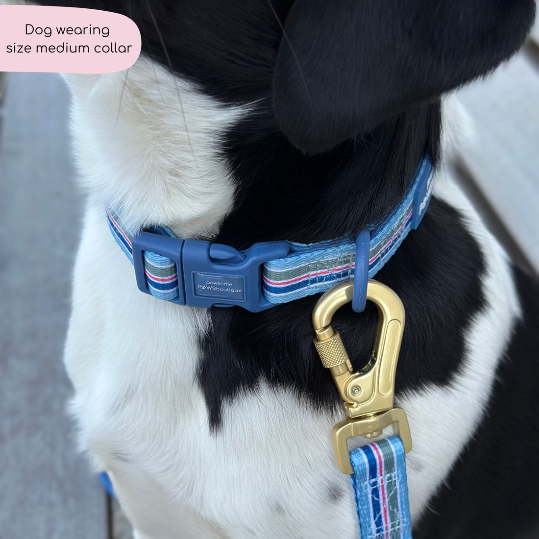Collar - Sailor Stripes