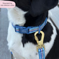 Collar - Sailor Stripes