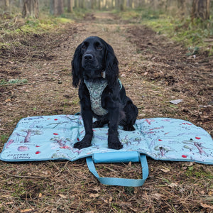 Disney© Travel Mat - 100 Aker Wood