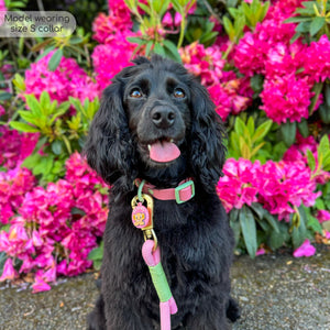 Disney© Waterproof Collar - Nala