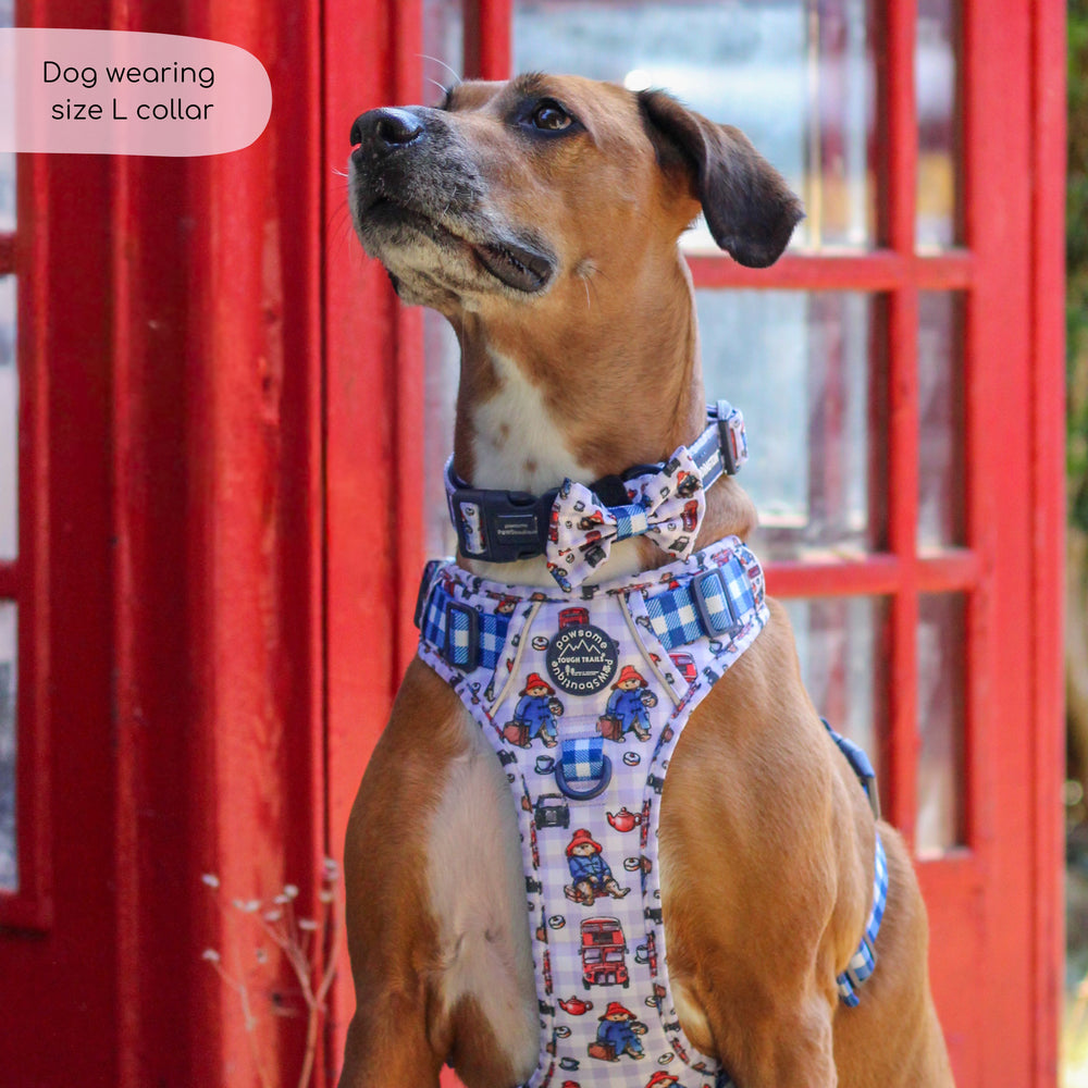 Paddington™ Collar - London