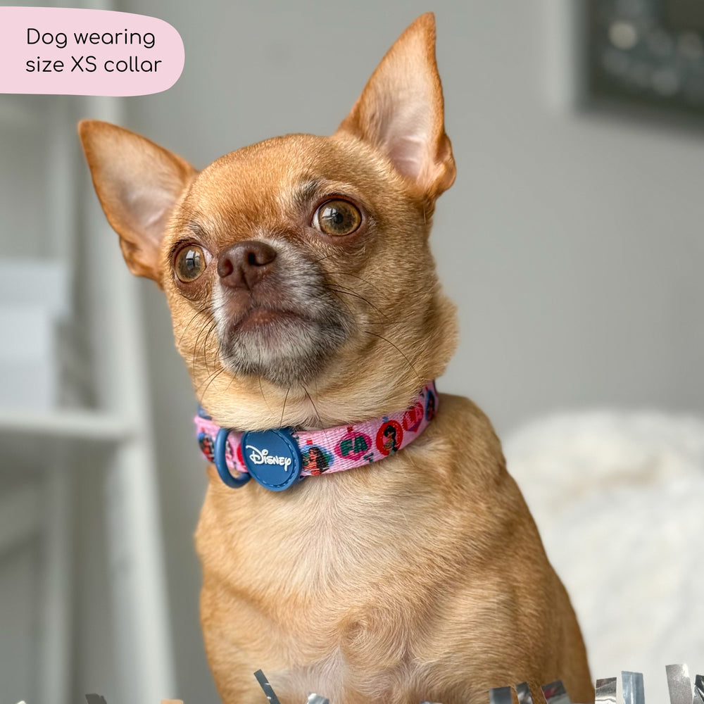 Disney© Collar - Princess