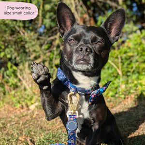 Disney© Collar - Alice In Wonderland