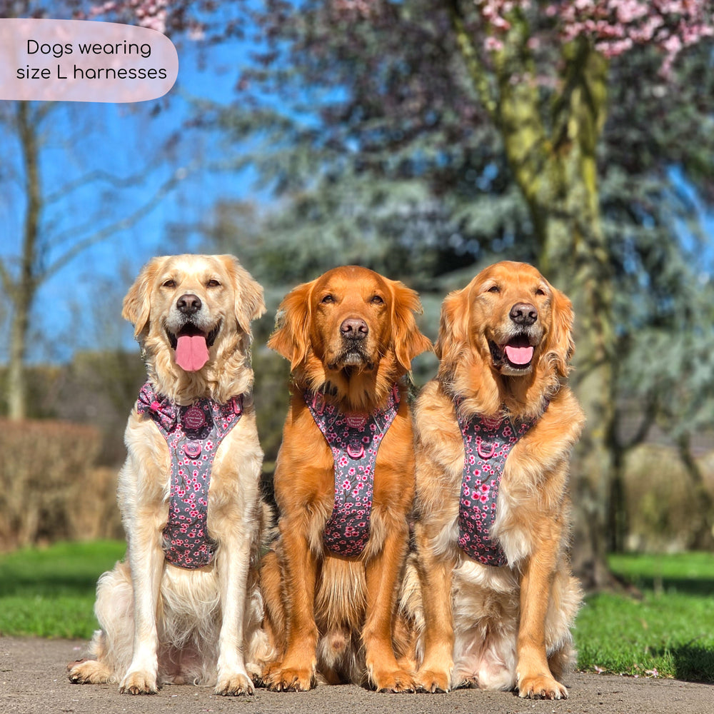 Tough Trails™ Harness -  Cherry Blossom