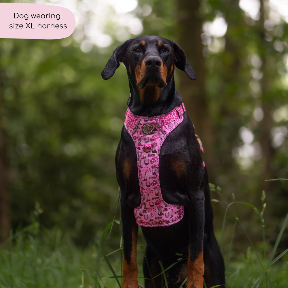 Tough Trails™ Harness -  Cowgirl