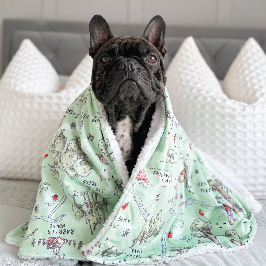 Disney© Dog Blanket - 100 Aker Wood
