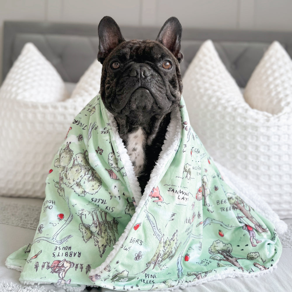 Disney© Dog Blanket - 100 Aker Wood