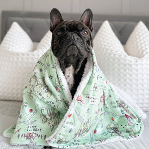 Disney© Dog Blanket - 100 Aker Wood
