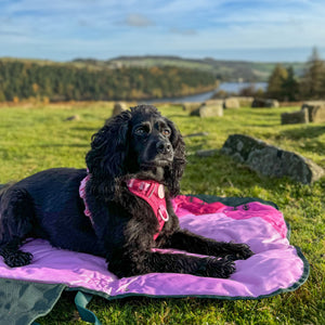 Travel Mat - Walkies Ready®