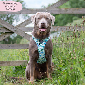 Tough Trails™ Harness - Dinky Dino