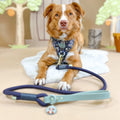 Disney© 4ft Rope Lead - Winnie + Friends - Sage and Blue