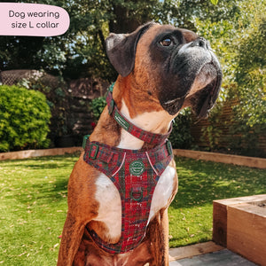 Collar - Yuletide Plaid