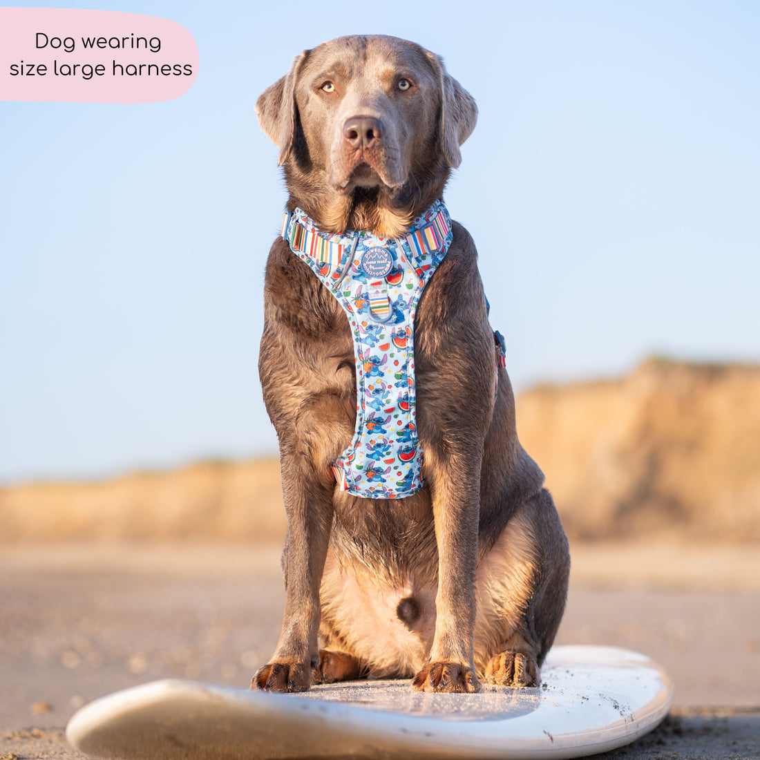 Disney© Tough Trails™ Harness - Stitch's Fruit Fiesta