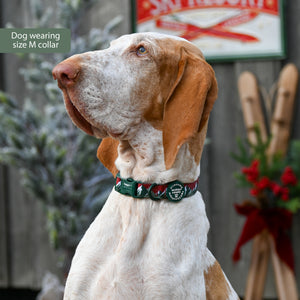 Collar – Walkies Ready® Snowy Mountains